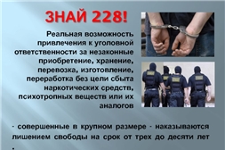 foto 2024 11 08 16 28 001